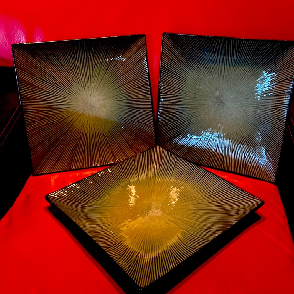 Set of 3 Beautiful Large Healthy Eating Stone Wear Heavy Plates NeverUsed